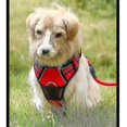 thumbnail image 2 of Dog Adjustable Harness Reflective And Breathable For Small And Large Dog Harness Pet Vest (l), 2 of 5