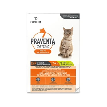 Parapet Praventa Flea Treatment for Small Cats, 1 Tube