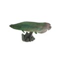 thumbnail image 1 of kurtrusly Jouet Modèle d'Animal Marin Réaliste Statique Cadeau pour Enfants Pirarucu avec Base, 1 of 9