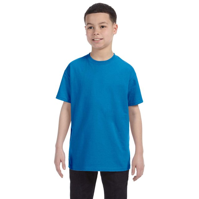 Hanes 54500 Youth Tagless T-Shirt - Sapphire - Small