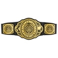 thumbnail image 1 of WWE Championship Title Belt, Adjustable for Kids Role Play, 1 of 7