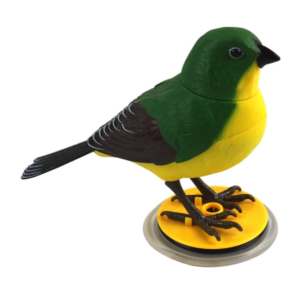 Milaget Modèle de Figurine d'Oiseau à Son Simulé Activé par la Voix, Jouets Éducatifs Musicaux pour Animaux, C