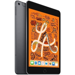 Apple iPad Mini, 5th Gen (Wi-Fi, 64GB) - Space Gray (Renewed)
