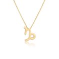 thumbnail image 1 of stanreset Constellation Theme Friendship Necklace Creative Comfortable Ins Exquisite Durable Rust-proof Lightweight Fashion Accessory Capricorn gold, 1 of 6