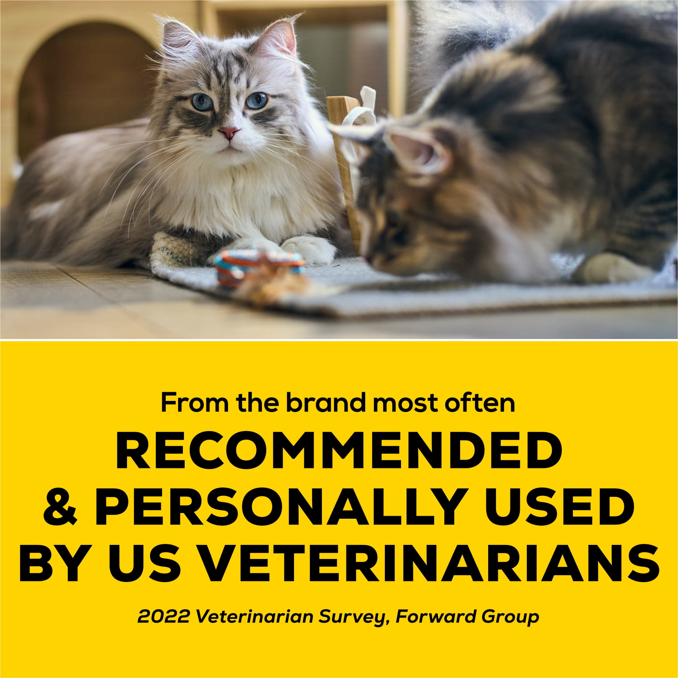 Purina Tidy Cats Poids Plume 24/7 Performance, Litière 8.5 kg