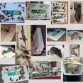 thumbnail image 2 of MAX Catch Sticky Mice Traps, Sticky Glue Boards, Catchmaster, Sticky Bug Traps,, Peanut Glue Boards for Mouse & Insect Control - Pack of 50, 2 of 7
