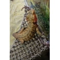 thumbnail image 4 of Penn-Plax Chaise longue - grand lézard, 4 of 8