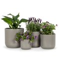 thumbnail image 3 of Classic Planter, 3 of 4