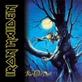 thumbnail image 1 of Iron Maiden - Fear Of Dark (Vinyl 2LP), 1 of 3