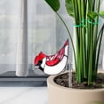 thumbnail image 4 of SouMaox Acrylic Potted Insert Planter Decoration Colorful Translucent Desktop Ornament Enhance Indoor Atmosphere for Home Office Balcony, 4 of 7