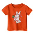 thumbnail image 4 of PMVFHDE T-Shirt Fille T-Shirts pour Fille T-Shirts pour Fille T-Shirts pour Fille Graphique Hauts d'Été pour Filles 2025 Imprimé pour Enfants Col Rond Manches Courtes T-Shirt Orange, 3-4 Ans, 4 of 4