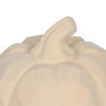 thumbnail image 4 of Way to Celebrate Mini Resin Pumpkin-Cream, 4 of 4
