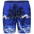 thumbnail image 1 of Beach Swimming Shorts Printed Quick-dried Summer Short Pants Beach Shorts Beach Trunks for Men, 1 of 10
