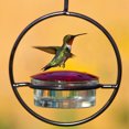 thumbnail image 3 of jesticaly 3pcs Hummingbird Diet Feeding Device Circular Platform For Hummingbirds To Rest red, 3 of 6