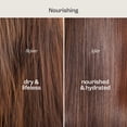 thumbnail image 3 of Renpure Coconut & Vitamin E Shampoo, Plant-Based – Nourishes & Seals In Moisture For Soft, Healthy Hair – For Dry to Normal Hair - 24 Fl Oz, 3 of 6