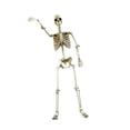 thumbnail image 1 of GUOOL Halloween Skeleton Horror Prop Ornament Flexible for Party Outdoor Festivals 90cm, 1 of 9