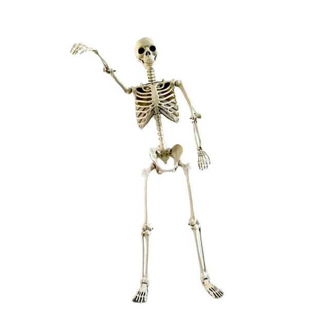 GUOOL Halloween Skeleton Horror Prop Ornament Flexible for Party Outdoor Festivals 90cm