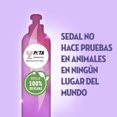 thumbnail image 4 of Sedal Liso Perfecto con proteina Hidrolizado 300 ml [SEALED], 4 of 4