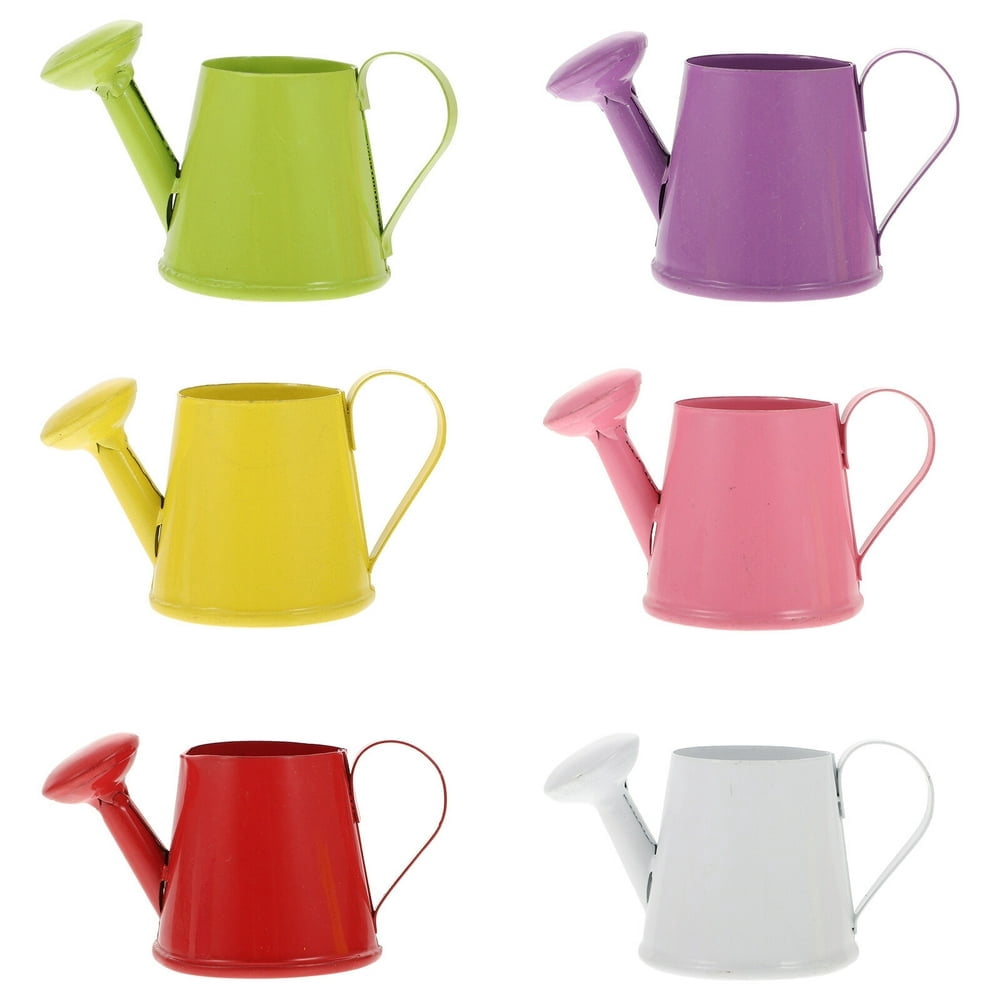 Estbridge Watering Can 2 Gallon Long Spout Metal Gardening Bucket Indoor 6pcs