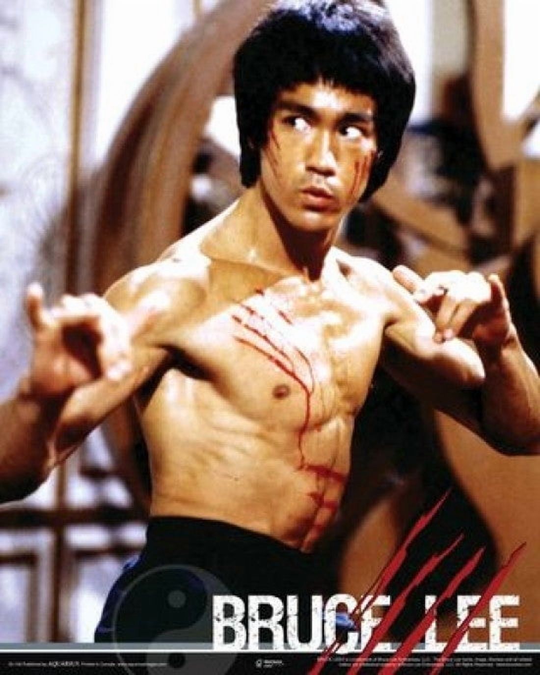 Bruce Lee - Affiche de Combat (16 x 20)