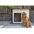 thumbnail image 4 of New Age Pet Rustic Lodge Outdoor Dog House Maple With Green Trim, 4 of 8