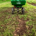 thumbnail image 2 of Scotts Turf Builder Quick + Thick semence de gazon mélange robuste et résistant, 2 of 6