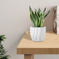 thumbnail image 5 of RuiJiao Clearance Round Planter Pot Vintage-Style White Flower Pots Indoor Textured Cylindrical Succulent Containers, 5 of 5