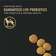 thumbnail image 3 of Purina Pro Plan Development Lamb & Rice Formula, Dry Puppy Food 15.4kg, 3 of 10