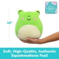 thumbnail image 2 of Squishmallows Wendy The Frog Heating Pad, 10.5x8.5, 1 Microwaveable, Cramp Relief by What Do You Meme, 2 of 8