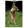 thumbnail image 1 of Famous Kitten Hang In There Poster Wall Poster, 22.375" x 34", 1 of 5
