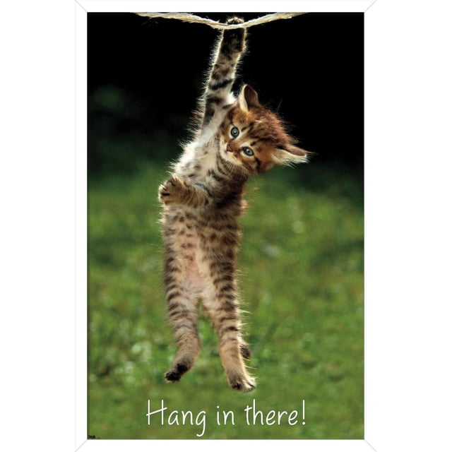 Famous Kitten Hang In There Poster Wall Poster, 22.375" x 34"