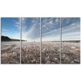 thumbnail image 2 of Givre d'Automne sur l'Herbe - Paysage Impression Murale, 2 of 3