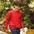 thumbnail image 2 of Fruit Of The Loom Chandail Molletonné Premium 70/30 pour Enfants, 2 of 2