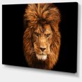 thumbnail image 2 of Visage de Lion Mâle sur Fond Noir - Impression sur Toile Abstraite, 2 of 3