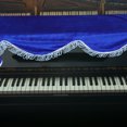 thumbnail image 1 of SHOWERORO Housse de Clavier de Piano Électrique 1Pcs Velours Doré Protection contre l'Humidité 63x23.6x0.2 Po, 1 of 8