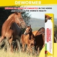 thumbnail image 3 of Generic-Lot de 8-Pâtes-0.21-Onces-Pomme-Arôme-Cheval-Assure-la-Joie-des-Chevaux, 3 of 3