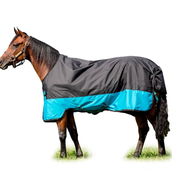 HORSEWARE Ireland Mio T/O Lite Color: Black/Turq & Black Size: 60 (AASA41-KCTK-60)