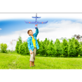 thumbnail image 3 of Danaplay Soaring Light Blaze Avion Acrobatique, 3 of 3