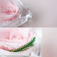 thumbnail image 3 of Amdohai Preserved Real Rose Flower in Clear Box Eternal Rose Scented, 3 of 7