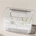 thumbnail image 4 of Turtle feeding box isolation and turtle sedimentation board household use, 4 of 4
