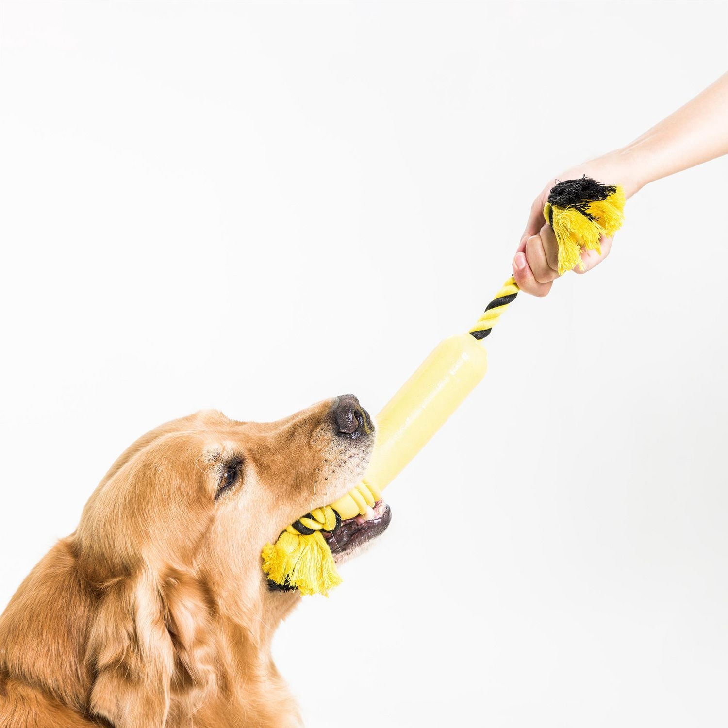 Jouets pour chiens en corde de caoutchouc Vibrant Life de grande taille