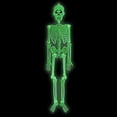 thumbnail image 4 of Glow In The Dark Skeleton Body Halloween Toy 30Cm Long Plastic Material With Movable Joints For Party Decoration White, 4 of 9