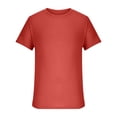 thumbnail image 3 of DPTALR Men's Summer Solid Round Neck Short Sleeved Knitted T-shirt, 3 of 5