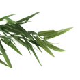 thumbnail image 4 of Monarch - Artificial plant - bamboo tree - 127 cm - green, 4 of 4