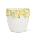 thumbnail image 1 of Petit Cache-Pot Bord Citron, 1 of 2