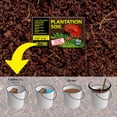 thumbnail image 3 of Exo Terra Reptile Terrarium Plantation Soil Bricks, 8 qt (8.8 L), 3 of 5