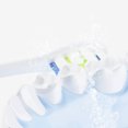 thumbnail image 3 of Amdohai 2PCS Replacement Brush Heads For One Automatic Electric Standard Cleaning Tooth Brush Heads, 3 of 7