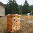 thumbnail image 1 of GloryStar 10-Frame Bee Hive Starter Kit for Beekeepers, Beeswax Dipped, 2 Deep Boxes & 1 Medium Box with Acrylic Window, 1 of 8