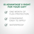 thumbnail image 2 of Advantage II traitement contre les puces pour chatons, 2 of 7