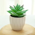 thumbnail image 2 of Coofit Mini Potted Succulent Lifelike - Artificial Plant Faux Succulent in Pot for Home, 2 of 4
